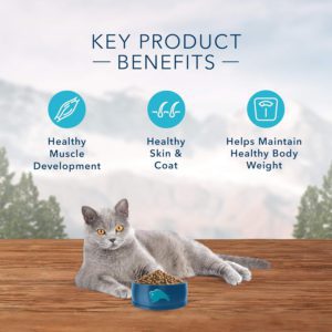 Blue Buffalo Wilderness High-Protein Natural Cat Food