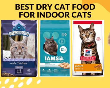 The Best Dry Cat Food for Indoor Cats -Top 10 good quality in 2024
