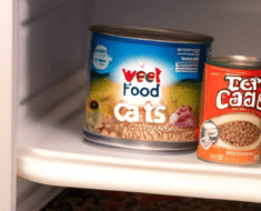 Wet Cat Food Need to Be Refrigerated After Opening