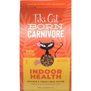 indoor cats food