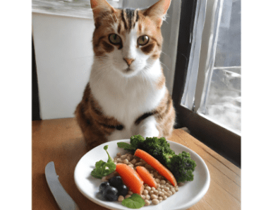 Is a Raw Diet Good for Cats? Learn the Benefits Today!