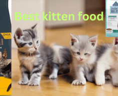 The Best Kitten Food in 2024 Top Picks and Reviews for Healthy Kittens
