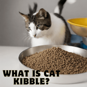 cat kibble