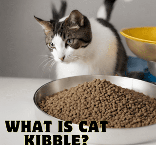 cat kibble