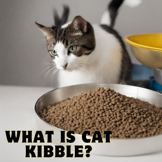 what is cat kibble