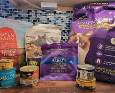 Soft Dry Cat Food: Best Options for Picky Felines