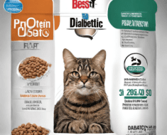 What Protein is Best for Diabetic Cats
